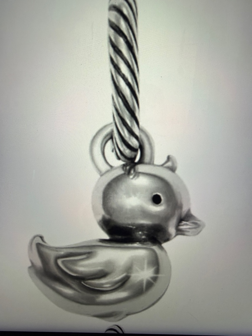 🐥🆕 Brighton Bubbles Duck Charm